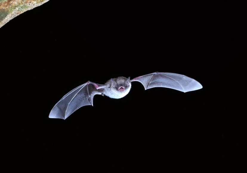 https://imgcdn.yzwb.net/902c7c68-0369-42a3-8632-d1783ef61455_1764324301240?imageMogr2/thumbnail/1080x%3E/strip/ignore-error/1|imageslim