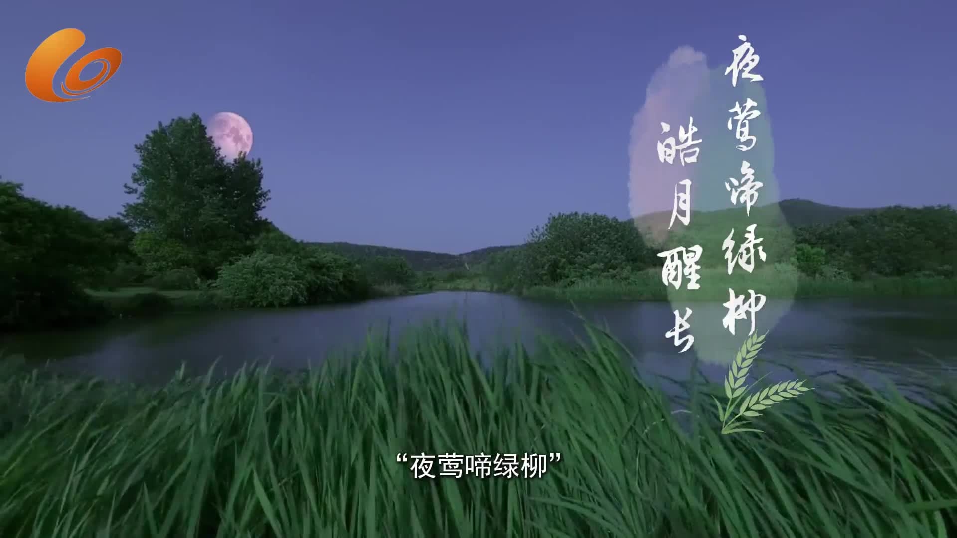 邁邁時(shí)運(yùn)，匠心不怠。天時(shí)淬藝，人事相承。
跟隨非遺小傳人走進(jìn)二十四節(jié)氣之小滿(mǎn)。