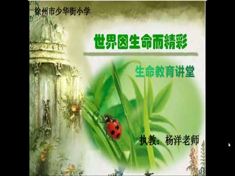 徐州市少華街小學(xué)一年級科學(xué)《生命教育》&mdash;楊洋