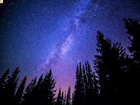 徐州市萬科城民主小學(xué) 方璐小學(xué)美術(shù)中年級《渴望生活 梵高》