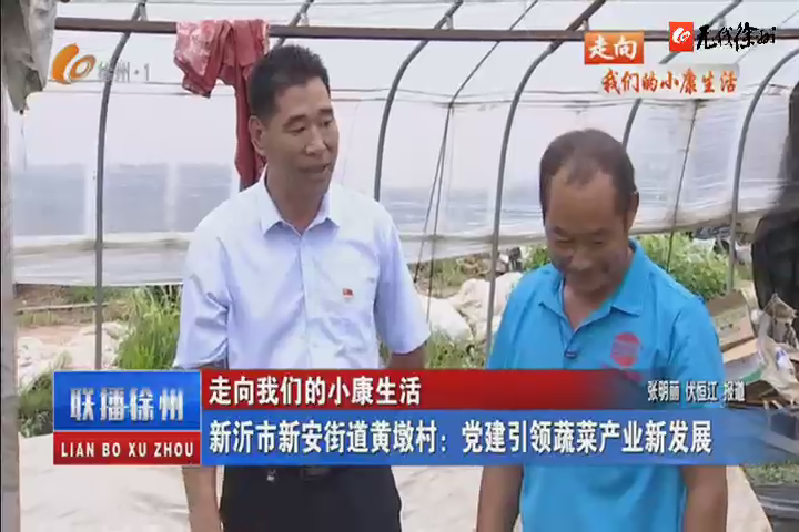 走向我們的小康生活：新沂市新安街道黃墩村：黨建引領(lǐng)蔬菜產(chǎn)業(yè)新發(fā)展