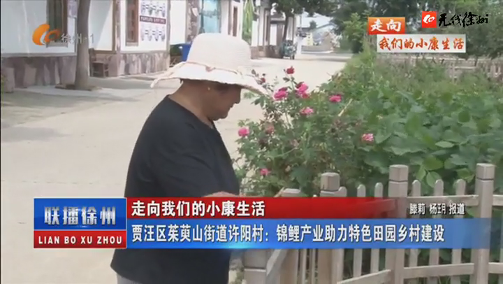 走向我們的小康生活：賈汪區(qū)茱萸山街道許陽村：錦鯉產(chǎn)業(yè)助力特色田園鄉(xiāng)村建設(shè)