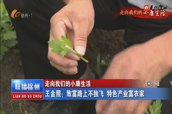走向我們的小康生活：王金照：致富路上不獨(dú)飛 特色產(chǎn)業(yè)富農(nóng)家
